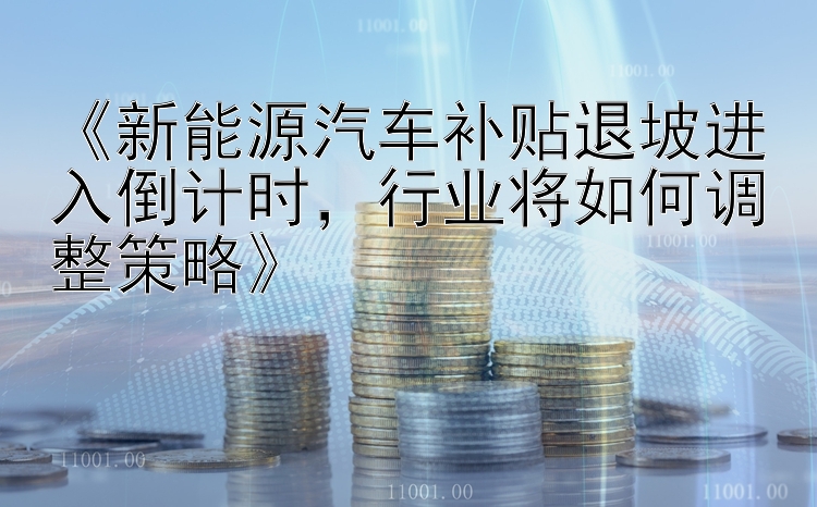 《新能源汽车补贴退坡进入倒计时，行业将如何调整策略》