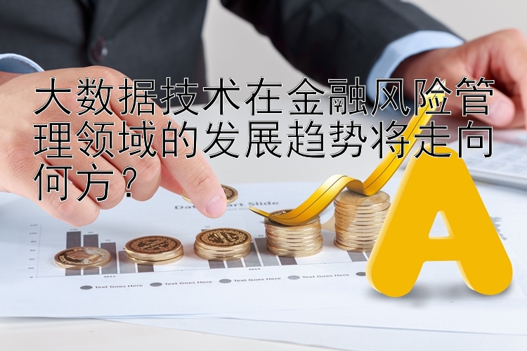 大数据技术在金融风险管理领域的发展趋势将走向何方？