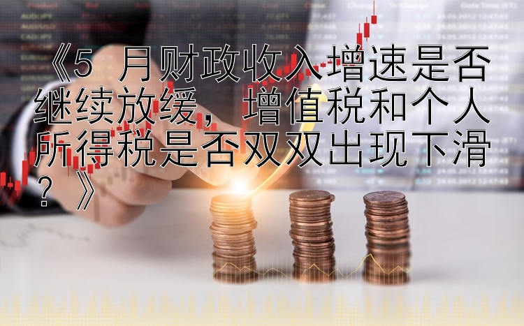 《5 月财政收入增速是否继续放缓，增值税和个人所得税是否双双出现下滑？》